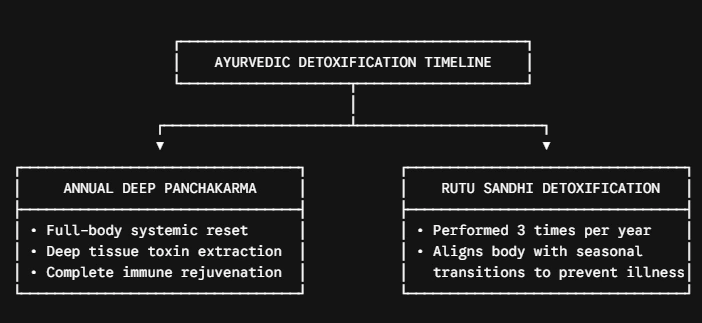 Infographic illustrating annual deep Panchakarma detox versus seasonal Rutu Sandhi transition cleansing